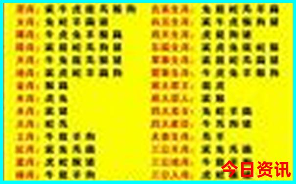 香港出彩号走势开奖记录今天